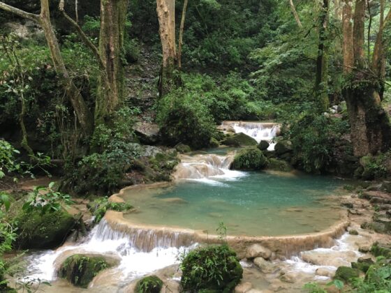 Your VanLife Guide to the Sierra Gorda Biosphere Reserve, Mexico