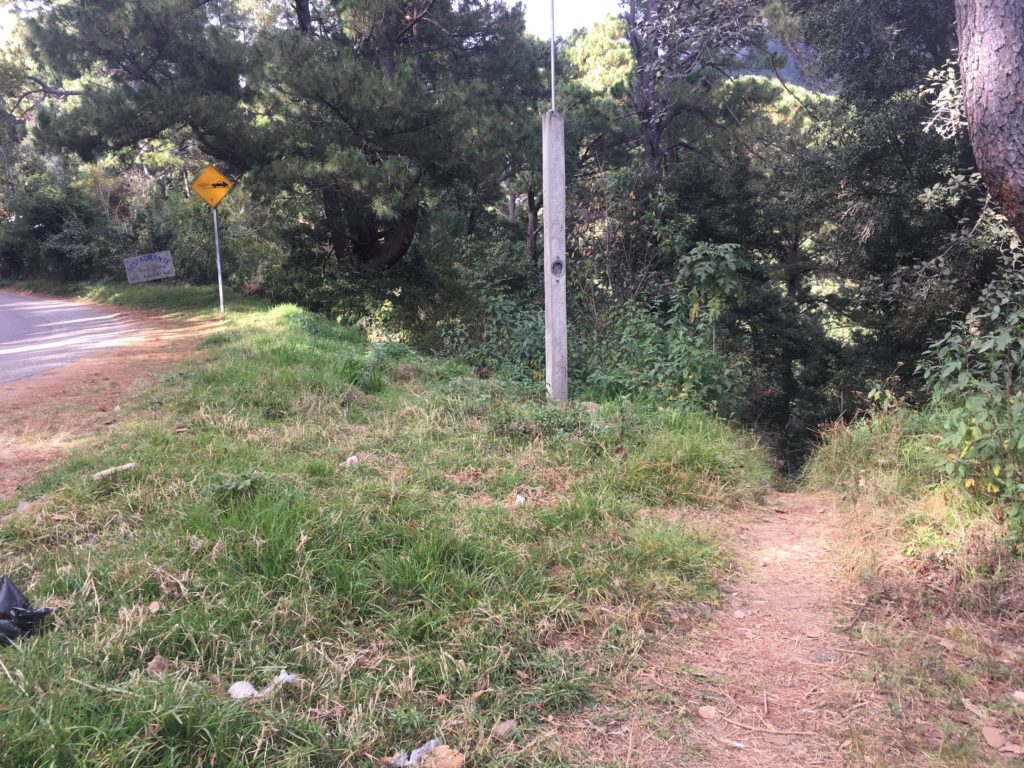 A picture of the hiking trail from the main road