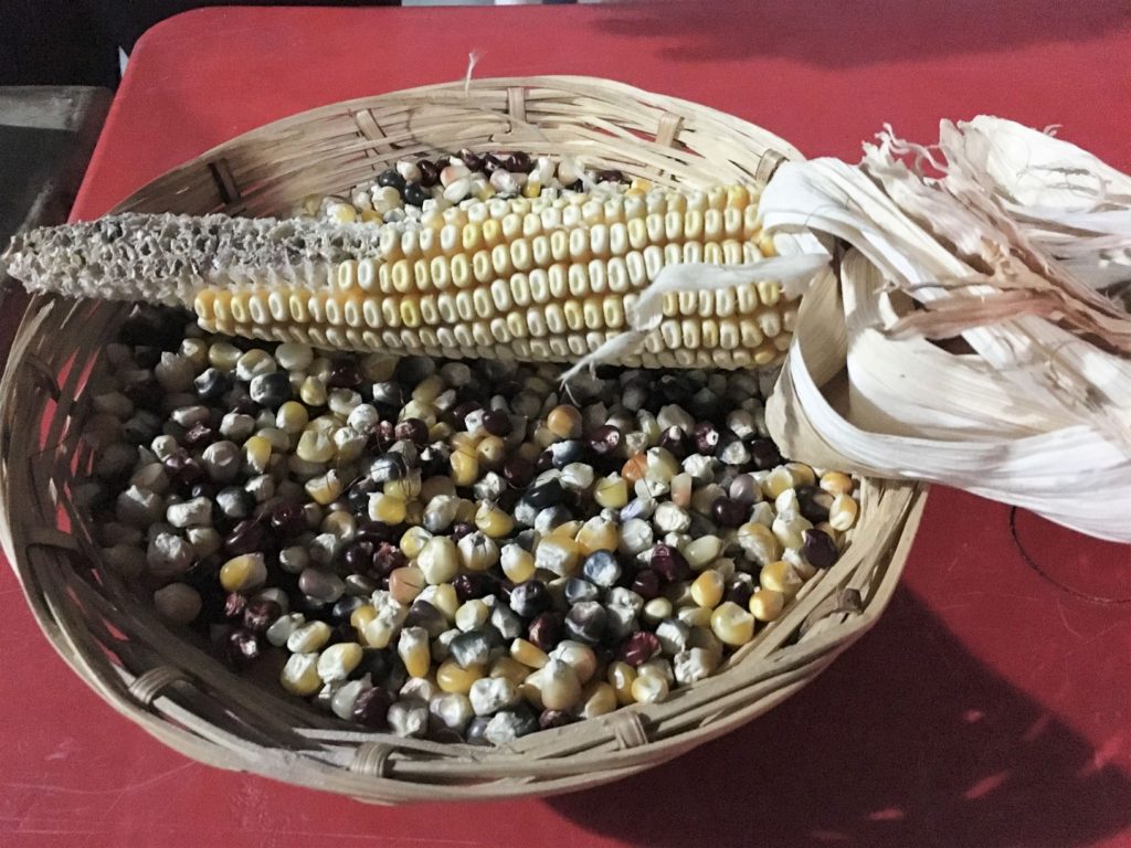 basket of colorful corn kernels