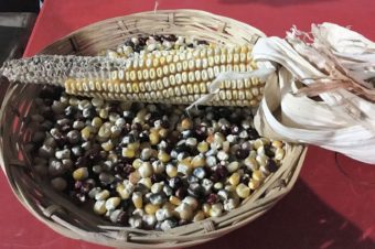 Learning How to Make Tamales in San Cristóbal de las Casas